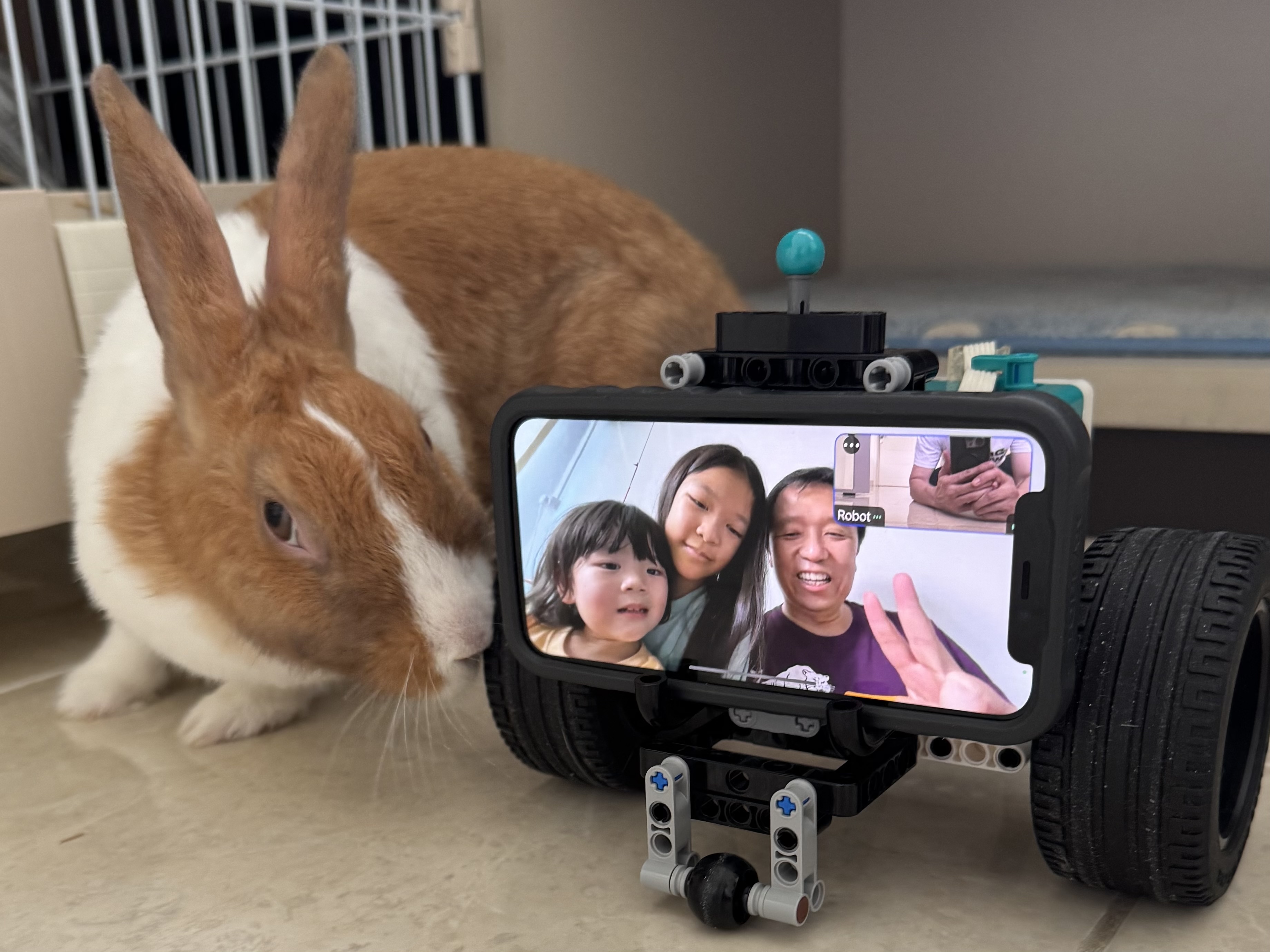 Miffy Moment